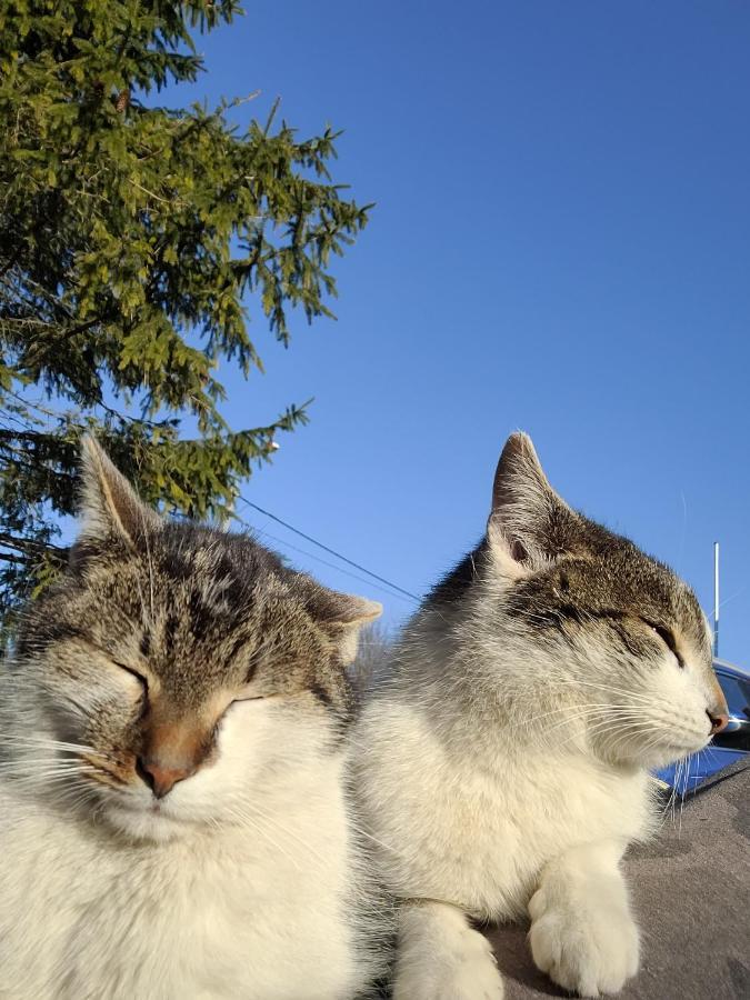 Uroczysko Skomackie Stare Juchy Exteriör bild